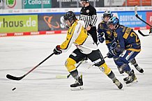 Eishockey, Frauen, DFEL, Saison 2022-2023, ERC Ingolstadt - Mad Dogs Mannheim, 19.11.2022