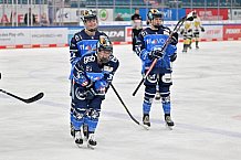 Eishockey, Frauen, DFEL, Saison 2023-2024, ERC Ingolstadt - Mad Dogs Mannheim, 18.02.2024