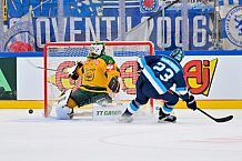 Hockey, Mens, CHL, Season 2025-2026, Regular Season, Game Day 1, ERC Ingolstadt - Ilves Tampere, 28.08.2025