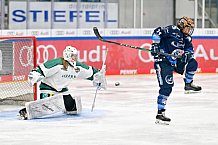 Eishockey, Frauen, European Womens Hockey League, Saison 2024-2025, ERC Ingolstadt - Lakers Kärnten, 13.09.2024