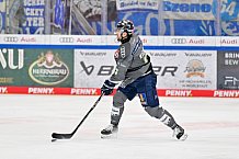 Eishockey, Herren, DEL, Saison 2023-2024, Spieltag 51, ERC Ingolstadt - Kölner Haie, 03.03.2024