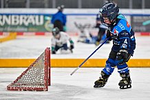 Eishockey, Saison 2025-2026, ERC Ingolstadt - Kids On Ice Day, 10.01.2026