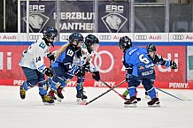 Eishockey, Herren, DEL, Saison 2024-2025, Spieltag 26, ERC Ingolstadt - Iserlohn Roosters, 15.12.2024