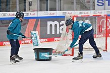 Eishockey, Herren, DEL, Saison 2023-2024, Spieltag 52, ERC Ingolstadt - Nürnberg Ice Tigers, 08.03.2024