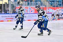 Eishockey, Herren, DEL, Saison 2024-2025, Playoffs Viertelfinale, Spiel 5, ERC Ingolstadt - Nürnberg Ice Tigers, 26.03.2025