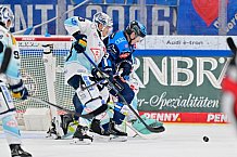 Eishockey, Herren, DEL, Saison 2025-2026, Spiel 44, ERC Ingolstadt - Dresdner Eislöwen, 27.01.2026