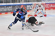 Eishockey, Herren, DEL, Saison 2023-2024, Playoffs Viertelfinale - Spiel 4, ERC Ingolstadt - Fischtown Pinguins , 24.03.2024