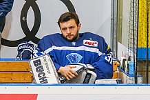 ERC Ingolstadt - Duesseldorfer EG, Eishockey, DEL, Deutsche Eishockey Liga, Spieltag 19, 18.11.2016
