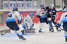 Eishockey, Herren, DEL, Saison 2024-2025, Vorbereitung, ERC Ingolstadt - Dresdner Eislöwen, 18.08.2024