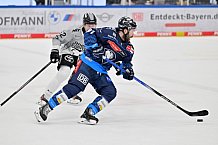 Eishockey, Herren, DEL, Saison 2024-2025, Spieltag 42, ERC Ingolstadt - Kölner Haie, 31.01.2025