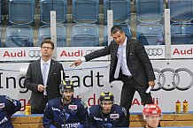 ERC Ingolstadt - Grizzlys Wolfsburg, Eishockey, DEL, Deutsche Eishockey Liga, Spieltag 12, 18.10..2015
