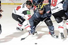 ERC Ingolstadt vs Koelner Haie, Eishockey, DEL, Deutsche Eishockey Liga, 01.11.2015