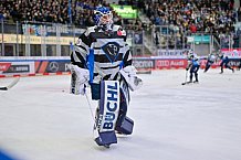 Eishockey, Herren, DEL, Saison 2024-2025, Spieltag 49, ERC Ingolstadt - Straubing Tigers, 28.02.2025