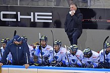 Straubing Tigers vs ERC Ingolstadt, DEL, Deutsche Eishockey Liga, Spieltag 23, 01.12.2019