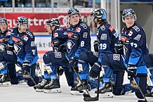 Eishockey, Herren, DEL, Saison 2024-2025, Spieltag 8, ERC Ingolstadt - Grizzlys Wolfsburg, 11.10.2024