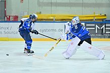 Eishockey, Frauen, DFEL, Saison 2026-2027, ERC Ingolstadt - Eisbären Juniors Berlin, 20.09.2026