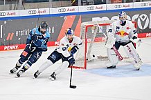 Eishockey, Herren, DEL, Saison 2022-2023, Playoff-Finale - Spiel 2, ERC Ingolstadt - EHC Red Bull München, 16.04.2023