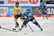 Eishockey, Frauen, DFEL, Halbfinale, Saison 2022-2023, ERC Ingolstadt - Mad Dogs Mannheim, 25.02.2023