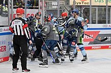 Eishockey, Herren, DEL, Saison 2023-2024, Spieltag 30, ERC Ingolstadt - Straubing Tigers, 23.12.2023