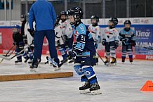 Eishockey, Herren, DEL, Saison 2024-2025, ERC Ingolstadt - Kids On Ice Day, 11.01.2025