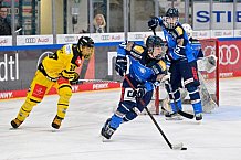 Eishockey, U20, DNL, Saison 2024-2025, ERC Ingolstadt - Krefelder EV 81, 01.03.2025