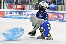 ERC Ingolstadt vs Kölner Haie, DEL, Deutsche Eishockey Liga, Spieltag 9, 06.10.2019