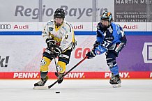 Eishockey, Frauen, DFEL, Saison 2023-2024, ERC Ingolstadt - Mad Dogs Mannheim, 18.02.2024