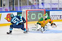 Hockey, Mens, CHL, Season 2025-2026, Regular Season, Game Day 1, ERC Ingolstadt - Ilves Tampere, 28.08.2025