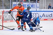 Eishockey, Herren, DEL, Saison 2025-2026, Spiel 33, ERC Ingolstadt - Grizzlys Wolfsburg, 28.12.2025