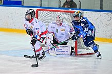 Eishockey, Frauen, DFEL, Saison 2023-2024, ERC Ingolstadt - ECDC Memmingen Indians, 21.01.2024