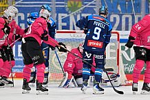 Eishockey, Herren, DEL, Saison 2025-2026, Spiel 11, ERC Ingolstadt - Nürnberg Ice Tigers, 17.10.2025