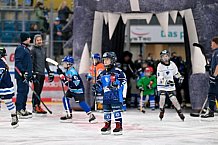 Eishockey, Saison 2025-2026, ERC Ingolstadt - Kids On Ice Day, 29.11.2025