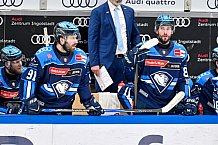 Eishockey, Herren, DEL, Saison 2025-2026, Spiel 40, ERC Ingolstadt - Straubing Tigers, 16.01.2026