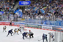 Eishockey, Herren, DEL, Saison 2024-2025, Spieltag 41, ERC Ingolstadt - Eisbären Berlin, 26.02.2025