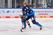 Eishockey, Frauen, DFEL, Saison 2024-2025, ERC Ingolstadt - EC Bergkamener Bären, 05.01.2025