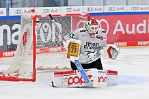 Eishockey, Herren, DEL, Saison 2024-2025, Spieltag 42, ERC Ingolstadt - Kölner Haie, 31.01.2025