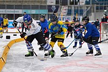 Eishockey, Herren, DEL, Saison 2023-2024, ERC Ingolstadt - Kids on Ice Day, 18.11.2023