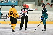 Eishockey, Herren, DEL, Saison 2026-2027, ERC Ingolstadt - HC Verva Litvinov - Steinbach Black Wings Linz, 22.08.2026