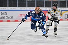Eishockey, Frauen, DFEL, Saison 2024-2025, ERC Ingolstadt - Mad Dogs Mannheim, 23.11.2024