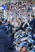 Eishockey, Herren, DEL, Saison 2022-2023, Spieltag 33, ERC Ingolstadt - Schwenninger Wild Wings, 21.12.2022