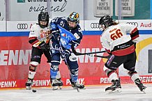 Eishockey, Frauen, DFEL, Saison 2023-2024, ERC Ingolstadt - EC Bergkamener Bären, 28.10.2023