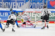 Eishockey, Herren, DEL, Saison 2025-2026, Spiel 16, ERC Ingolstadt - Kölner Haie, 31.10.2025