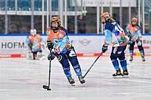 Eishockey, Frauen, DFEL, Saison 2024-2025, ERC Ingolstadt - Mad Dogs Mannheim, 23.11.2024
