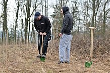 Eishockey, Herren, DEL, Saison 2023-2024, ERC Ingolstadt - Baumpflanzaktion, 02.03.2024