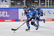 Eishockey, Frauen, DFEL, Saison 2023-2024, ERC Ingolstadt - EC Bergkamener Bären, 28.10.2023