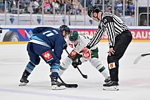 Eishockey, Mens, CHL, Season 2023-2024, ERC Ingolstadt - Färjestad Karlstad, 02.09.2023