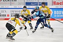 Eishockey, Frauen, DFEL, Halbfinale, Saison 2022-2023, ERC Ingolstadt - Mad Dogs Mannheim, 25.02.2023