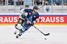 Eishockey, Mens, CHL, Season 2023-2024, ERC Ingolstadt - Färjestad Karlstad, 02.09.2023