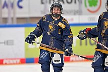 Eishockey, Frauen, DFEL, Saison 2022-2023, ERC Ingolstadt - Mad Dogs Mannheim, 19.11.2022