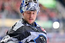 Eishockey, Herren, DEL, Saison 2024-2025, Playoffs Halbfinale, Spiel 3, ERC Ingolstadt - Kölner Haie, 06.04.2025